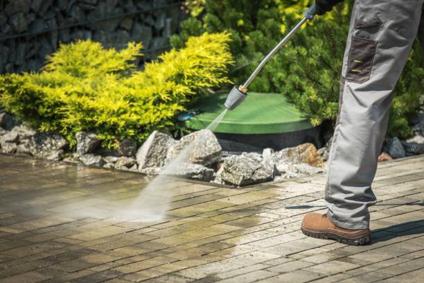 Best Gutter Cleaning  in Newfoundland, NJ